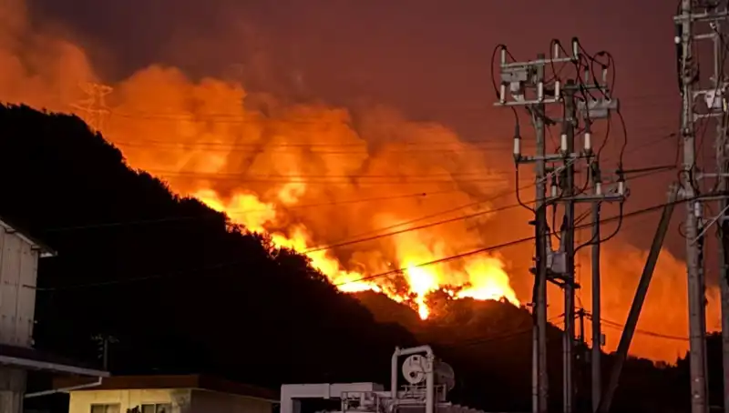 Japonya'da Orman Yangını Korkusu: İki Eyalet Duman Altında