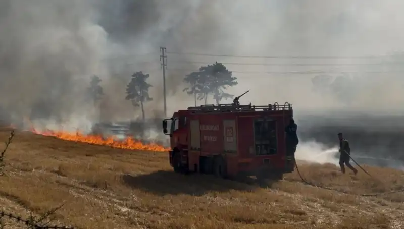 Kırklareli'nde Korkutan Anız Yangını: Nedenleri ve Etkileri