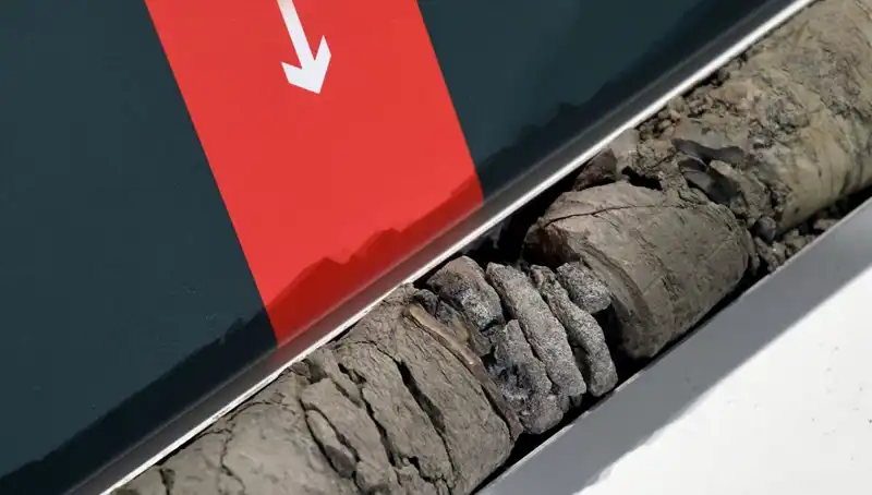 Dinozor Fosilinin Yeraltında Keşfi: Müze Otoparkında Büyüleyici Bir Hazine