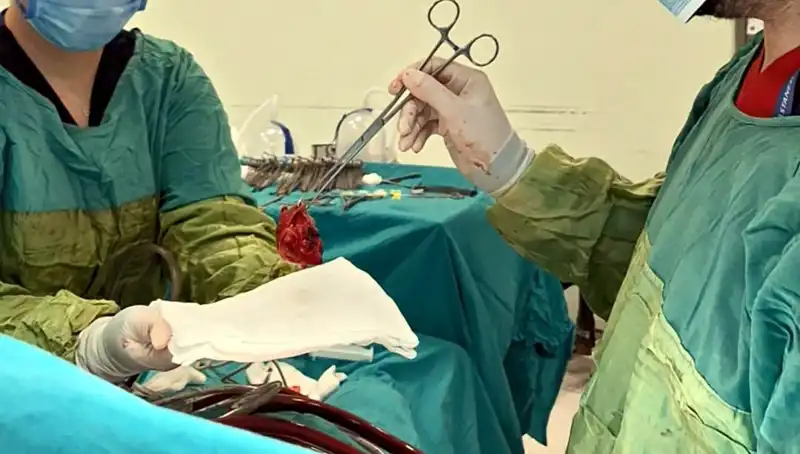 Zorlu Kalp Ameliyatı: 7 Saat Süren Mucizevi Başarı