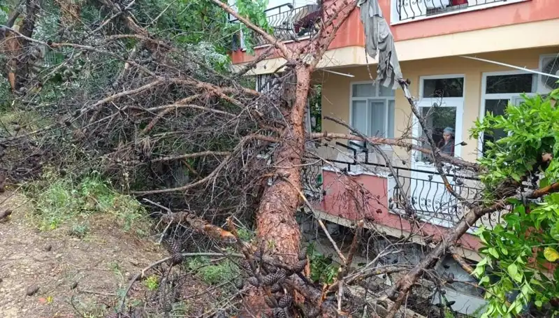 Zorlu Hava Koşulları: Yağmura Dayanamayarak Bina Üzerine Devrildi