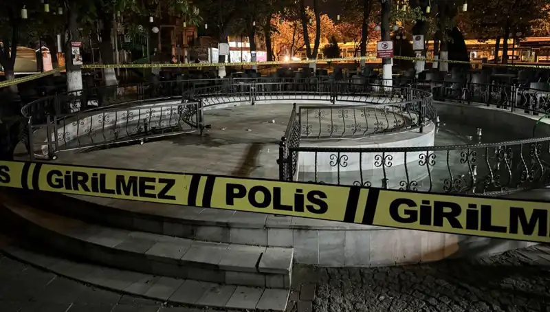 Kırklareli'nde Süs Havuzu Faciası: Dört Kişi Hastanelik Oldu