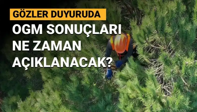 OGM Personel Alımı Duyurusu: 3 Bin 477 Sözleşmeli Pozisyon İçin Sonuçlar Ne Zaman Açıklanacak?