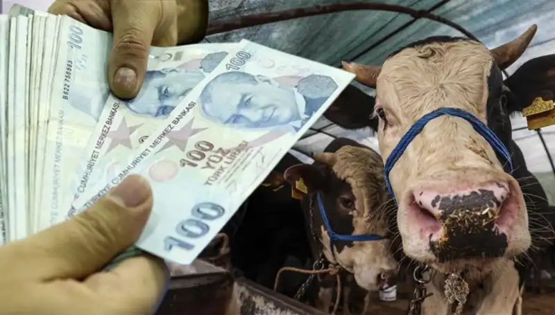 Kurban Bayramı Öncesi Maaşlar Yatacak mı? Emekliler ve Memurlar Neler Bekliyor?