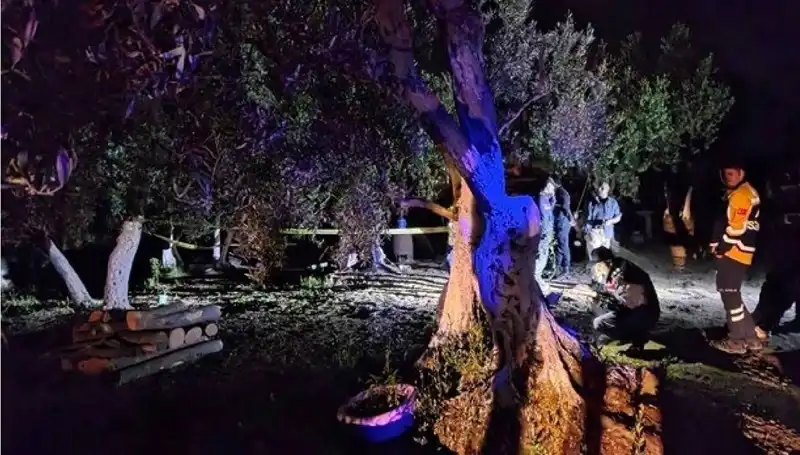 Çiftlikte Baltalı Vahşet: Bir Tutuklama ve Şok Edici Detaylar
