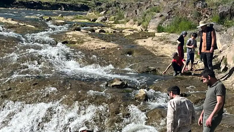 İnci Kefali Göçü: Doğanın Mucizesi Binlerce Turisti Ağırlıyor