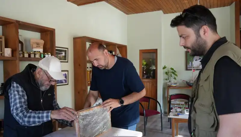 Doktorlar Uyarıyor: Bu Doğal Ürün Hem Şifa Hem de Zehir