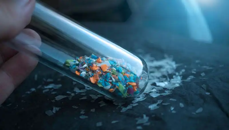 Mikroplastikler: İnsan Beynine Sızarak Sağlığımızı Tehdit Ediyor!