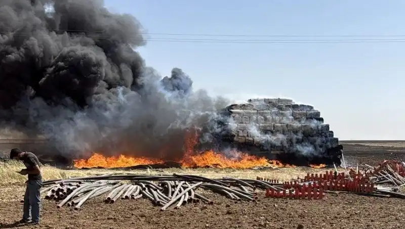 Mardin'de Anız Yangını: Tarım Alanları Tehdit Altında!