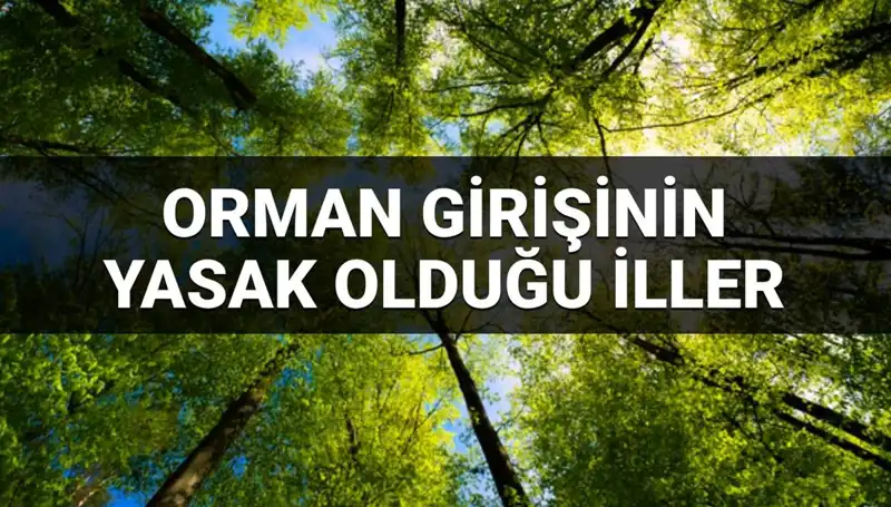 Türkiye’nin Hangi İllerinde Ormana Girmek Yasak? 2025 Yılı İçin Detaylar