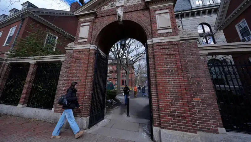 Harvard Profesörleri Trump Yönetimine Karşı Dava Açtı