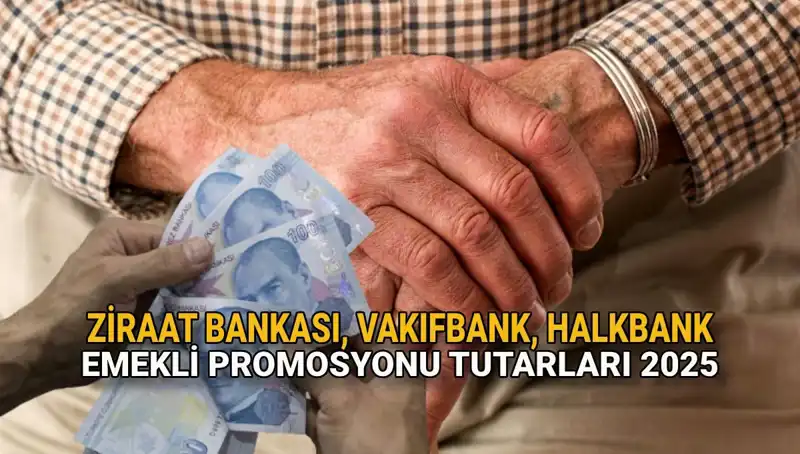 Emekli Promosyonları 2025: Kamu Bankalarının Sunmuş Olduğu Fırsatlar