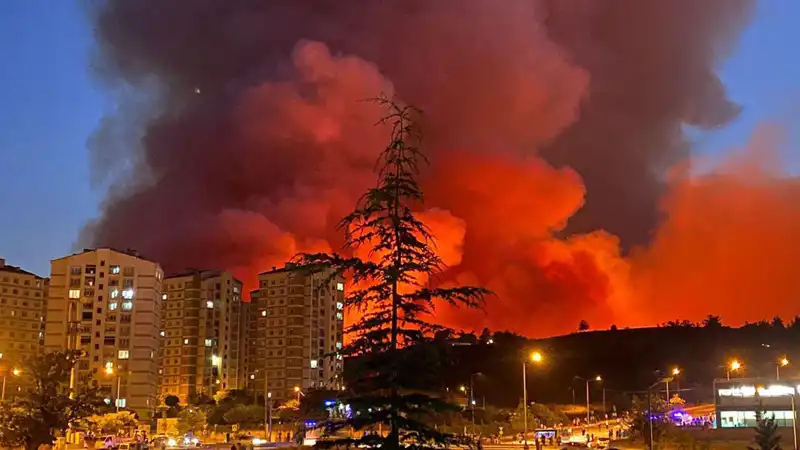 Bursa'da Sıra Dışı Yangınlar: Nedenleri ve Sonuçları
