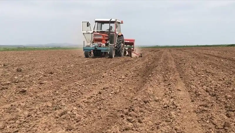 Son 35 Yılın En Kurak Mart Ayı: Türkiye'nin Su Krizi Tehlikesi