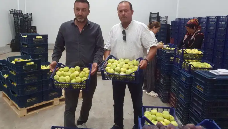 Mersinli Çiftçilerin Yüzünü Güldüren Tarımsal İhraç Hakkında Bilmeniz Gerekenler