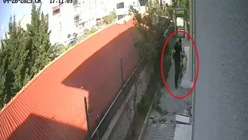Evde Sahiplenip Parçaladığı Köpekler İçin Doktora Şok Tutuklama