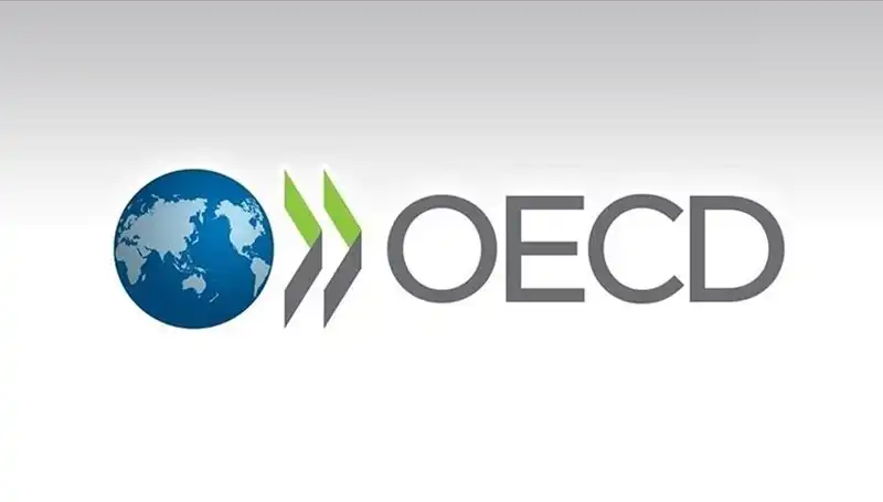 OECD, Türkiye Ekonomisi İçin Büyüme Tahminini Yeniledi: Umutlar Artıyor