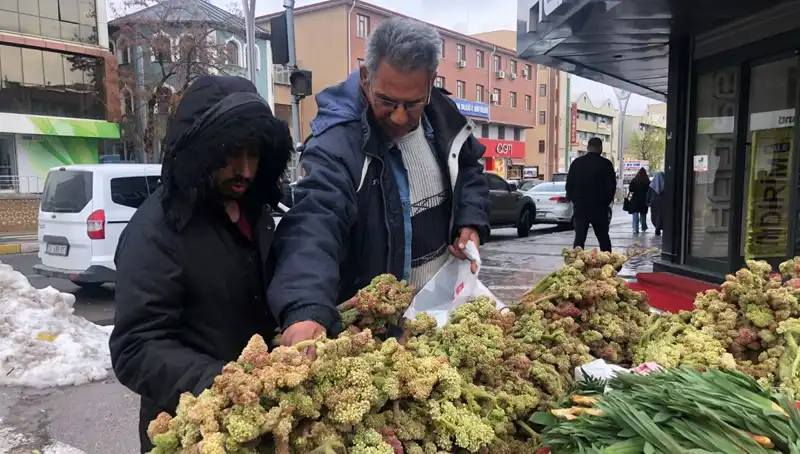 Kendiliğinden Yetişen Vitamin Deposunun Sağlık Zirvesindeki Yeri