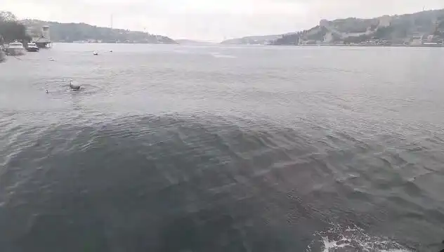 İstanbul Boğazı'nda Dalgaların Yükselişi: Nedenleri ve Sonuçları
