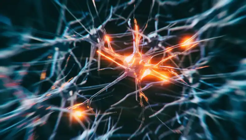 Alzheimer Vakalarının Artış Sebepleri ve Gelecekteki Etkileri