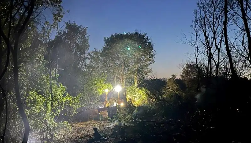 Edirne'deki Zorlu Orman Yangını Kontrol Altına Alındı